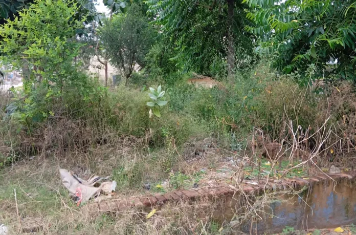 Mahendragarh News : बरसात के बाद बढ़ी मच्छरों की तादाद, डेंगू व मलेरिया फैलने का भय