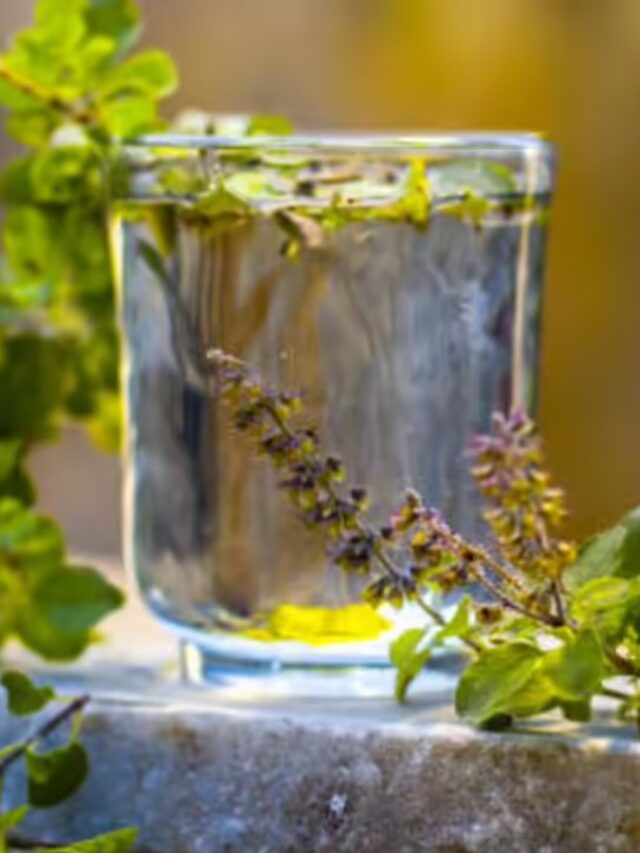 Tulsi Water Benefits : खाली पेट तुलसी का पानी पीने से खुल जाएंगे सेहत के राज़