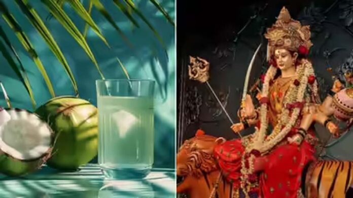 Shardiya Navratri Vrat: शारदीय नवरात्र में उपवास के दौरान खाने-पीने का रखें विशेष ध्यान