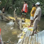 Flood Attack : बहादुरगढ़ में औद्योगिक क्षेत्र का कामकाज ठप नगरों में भरा पानी सहायता के लिए बुलाये गए जवान