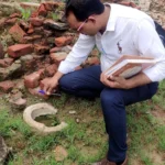Jind News : स्वास्थ्यकर्मियों ने किया रैपिड फीवर मास सर्वे