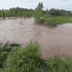 Haryana Flood Situation: कुरुक्षेत्र के 100 गांव से बाढ़ से प्रभावित, हिसार में 200 गांवों में फसलें बर्बाद, सिरसा में घग्घर नदी ओवरफ्लो