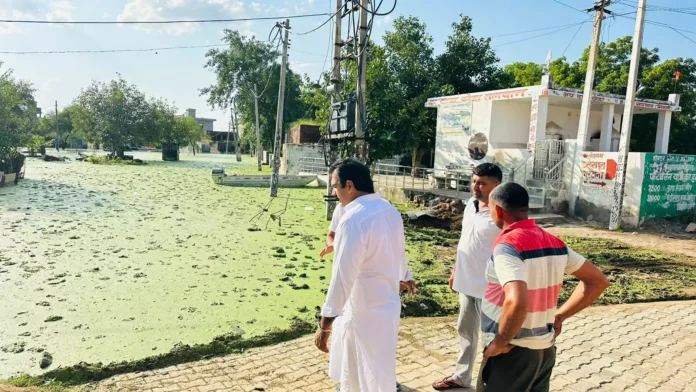 Bhiwani News : गांव सागवन में जलभराव की समस्या का जायजा लेने पहुंचे युवा भाजपा नेता मोहित चौधरी