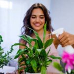 Plant Care Tips: जानें सर्दियों में पौधों में पानी डालने का सही समय और तरीका