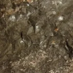 UP Uranium News