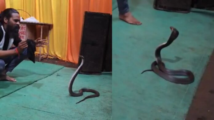 Viral Video: मध्य प्रदेश में चौंकाने वाली घटना, वॉशिंग मशीन से निकला किंग कोबरा, वीडियो वायरल