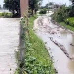 Water Level of Yamuna : फरीदाबाद में यमुना के बढ़ते जलस्तर से खतरे में रेनीवेल