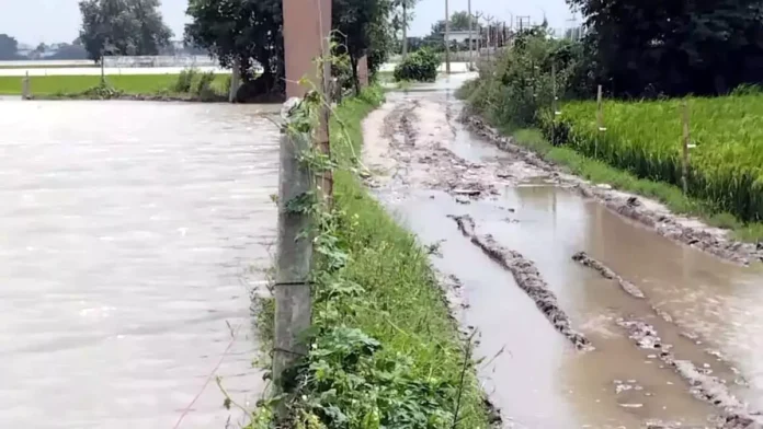 Water Level of Yamuna : फरीदाबाद में यमुना के बढ़ते जलस्तर से खतरे में रेनीवेल
