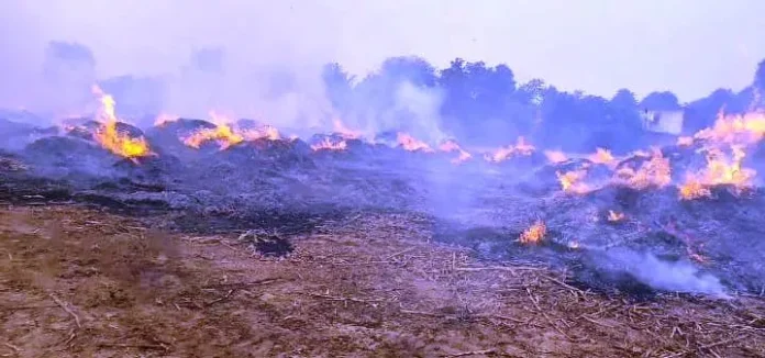 A massive fire broke out in two hundred and fifty acres of Kharchi Kadvi near Nangal Ugra.