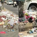 After Diwali, the city was left with heaps of garbage, increasing the hardships faced by stray animals and pedestrians, and the administration also showed negligence.