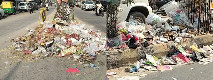 After Diwali, the city was left with heaps of garbage, increasing the hardships faced by stray animals and pedestrians, and the administration also showed negligence.