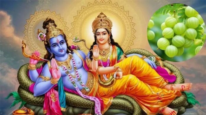 Akshaya Navami: अक्षय नवमी पर आंवले के साथ करें इन चीजों का दान Akshaya Navami: अक्षय नवमी पर आंवले के साथ करें इन चीजों का दान