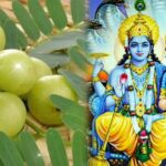 Amla Navami: कब है आंवला नवमी? जानें, पूजा का समय, विधि और महत्व