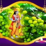Amla Navami Upay: आंवला नवमी पर करें ये 4 उपाय