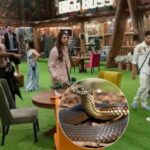 Bigg Boss 19 Shocker: घर में घुसा जहरीला सांप, कंटेस्टेंट डर गए, ऐसे पकड़ा गया