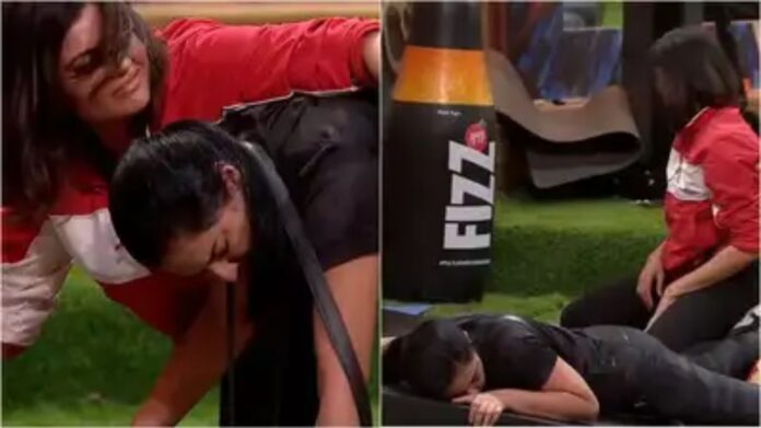 Bigg Boss 19 Update: अमाल मलिक की फोटो पर तान्या का किस वायरल! मालती चाहर के आरोप से घर में मचा बवाल Bigg Boss 19 Update: अमाल मलिक की फोटो पर तान्या का किस वायरल! मालती चाहर के आरोप से घर में मचा बवाल