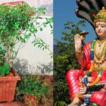 Dev Uthani Ekadashi: देवउठनी एकादशी पर करें तुलसी चालीसा का पाठ