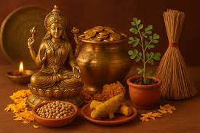 Dhanteras Upaay: धनतेरस पर इस पौधे को लगाने से मिलती है कुबेर देव की कृपा