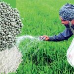 Farming Tips: आपकी फसल में किस पोषक तत्व की हो रही कमी, इन लक्षणों से पहचानें