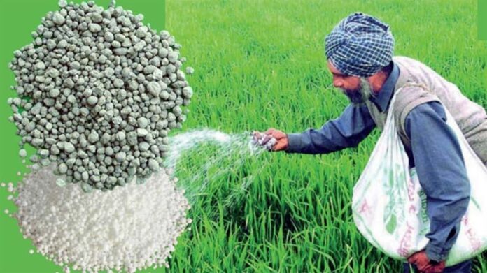 Farming Tips: आपकी फसल में किस पोषक तत्व की हो रही कमी, इन लक्षणों से पहचानें