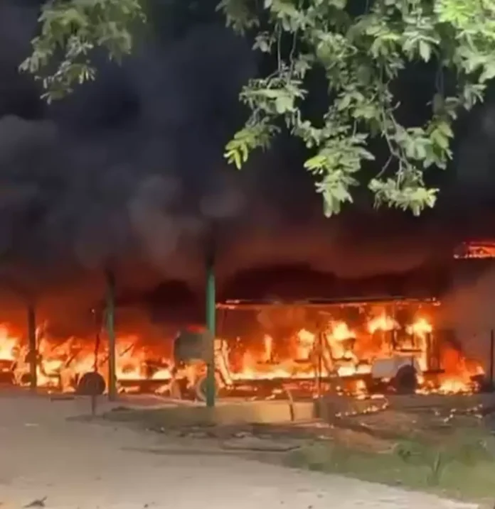Fire breaks out in electric vehicles parked at Chhatbir Zoo. Fire breaks out in electric vehicles parked at Chhatbir Zoo.