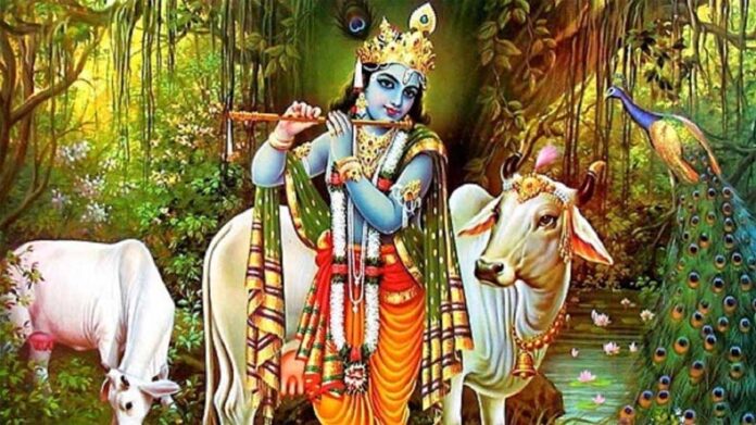 Gopashtami: गोपाष्टमी आज, जानें पूजा का शुभ मुहूर्त