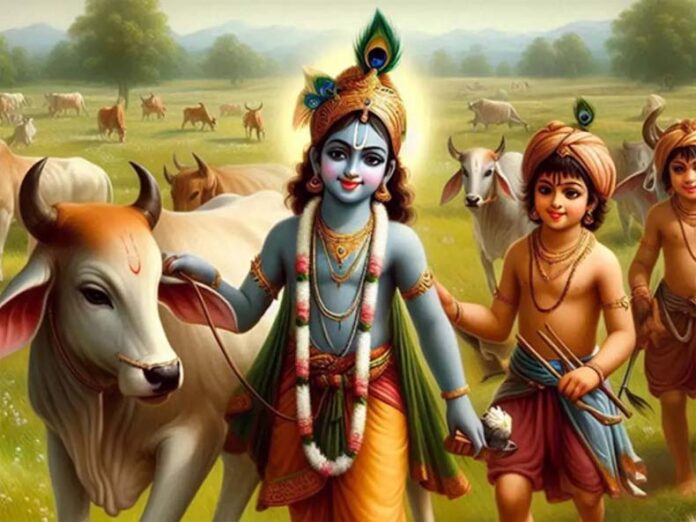 Gopashtami Niyam: गोपाष्टमी पर भूलकर भी न करें ये गलतियां Gopashtami Niyam: गोपाष्टमी पर भूलकर भी न करें ये गलतियां