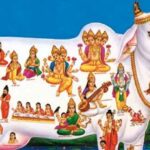 Gopashtami Puja Vidhi: गोपाष्टमी पर इस विधि से करें पूजा