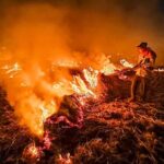 Haryana-Punjab Stubble Burning Case: हरियाणा में पराली जलाने की घटनाओं में आई कमी, पंजाब में 12 गुना अधिक पराली जली