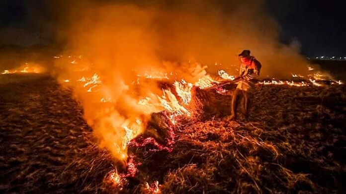 Haryana-Punjab Stubble Burning Case: हरियाणा में पराली जलाने की घटनाओं में आई कमी, पंजाब में 12 गुना अधिक पराली जली Haryana-Punjab Stubble Burning Case: हरियाणा में पराली जलाने की घटनाओं में आई कमी, पंजाब में 12 गुना अधिक पराली जली