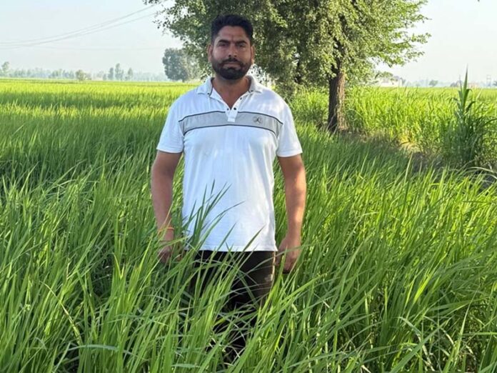 Natural Farming: प्राकृतिक खेती कर सालाना 16 लाख रुपए कमा रहा कैथल का किसान