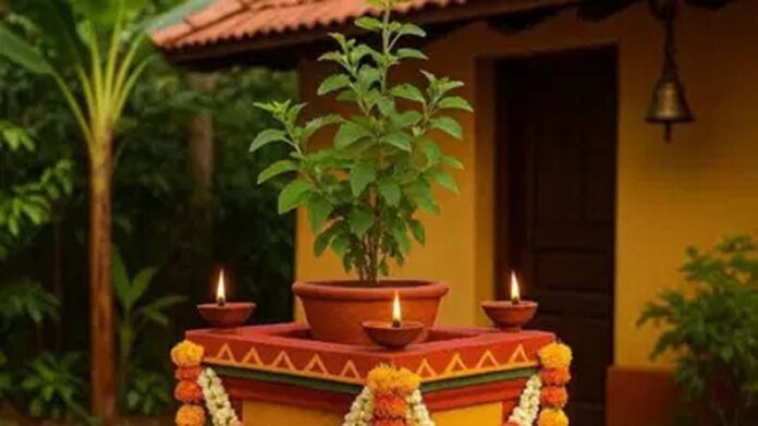 Kartik Month Upaay: जानें क्यों जलाते हैं कार्तिक महीने की संध्या में तुलसी के पास दीपक?