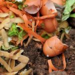 Kitchen Waste Compost: गार्डनिंग के लिए किचन वेस्ट से ऐसे तैयार करें खाद, पौधों के लिए है फायदेमंद