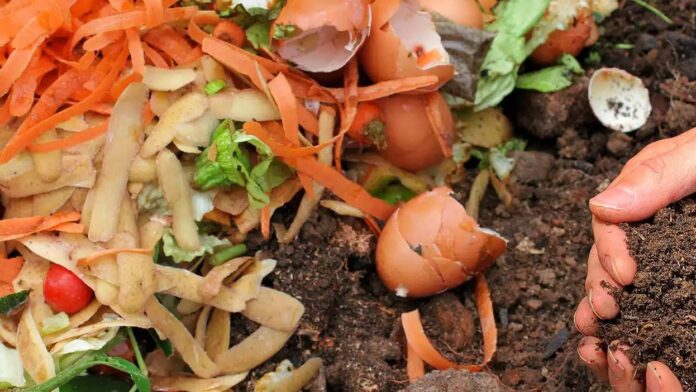 Kitchen Waste Compost: गार्डनिंग के लिए किचन वेस्ट से ऐसे तैयार करें खाद, पौधों के लिए है फायदेमंद