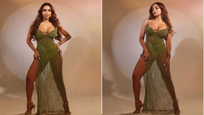 Malaika Arora Birthday: आइटम गर्ल नहीं, बिजनेस क्वीन हैं मलाइका अरोड़ा! एक्टिंग के साथ इन धंधों से कमा रही हैं करोड़ों” Malaika Arora Birthday: आइटम गर्ल नहीं, बिजनेस क्वीन हैं मलाइका अरोड़ा! एक्टिंग के साथ इन धंधों से कमा रही हैं करोड़ों”