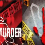 Rohtak Murder: रोहतक में क्रिकेट विकेट से हमला कर युवक को उतारा मौत के घाट