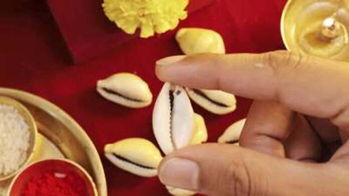 Navratri Upaay: धन-धान्य में वृद्धि के लिए नवरात्र के अंतिम दिन कौड़ी से करें ये उपाय