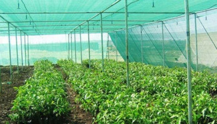 Net House Farming: जानें नेट हाउस में खेती के फायदें