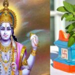 Papankusha Ekadashi Tulsi Upaay: पापांकुशा एकादशी के दिन तुलसी से जुड़े इन नियमों का करें पालन