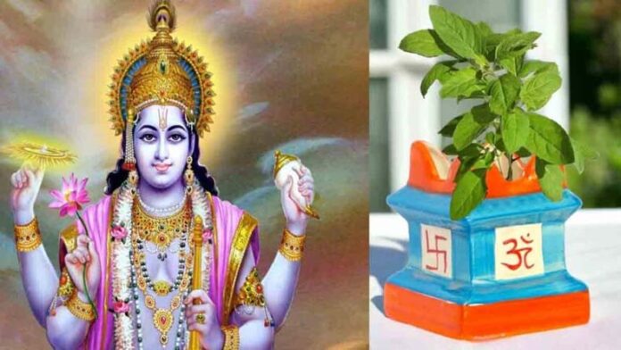 Papankusha Ekadashi Tulsi Upaay: पापांकुशा एकादशी के दिन तुलसी से जुड़े इन नियमों का करें पालन