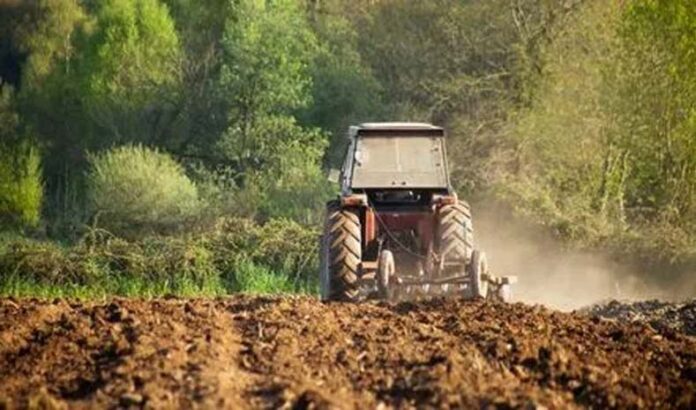 Rabi Season: रबी सीजन की तैयारी में जुटे किसान