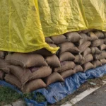 Rain in Zirakpur has damaged paddy bags in the market, angering farmers.