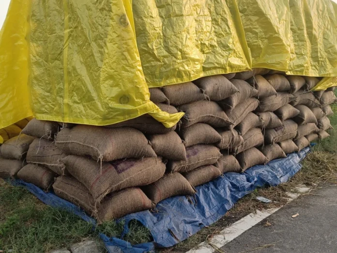 Rain in Zirakpur has damaged paddy bags in the market, angering farmers.