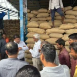 SDM inspected the paddy procurement in Panchkula Mandi.