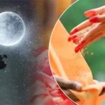 Sharad Purnima: शरद पूर्णिमा के दिन इन 5 चीजों का करें दान