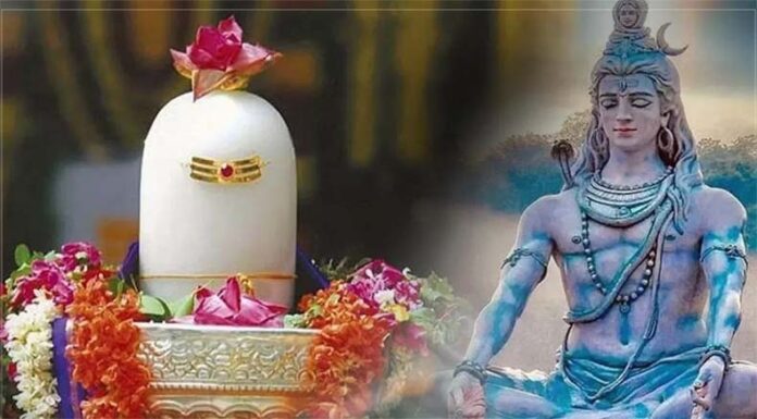 Dhanteras Shiv Puja: धनतेरस पर शिवलिंग पर अर्पित करें ये चीजें, खुशहाल होगा जीवन