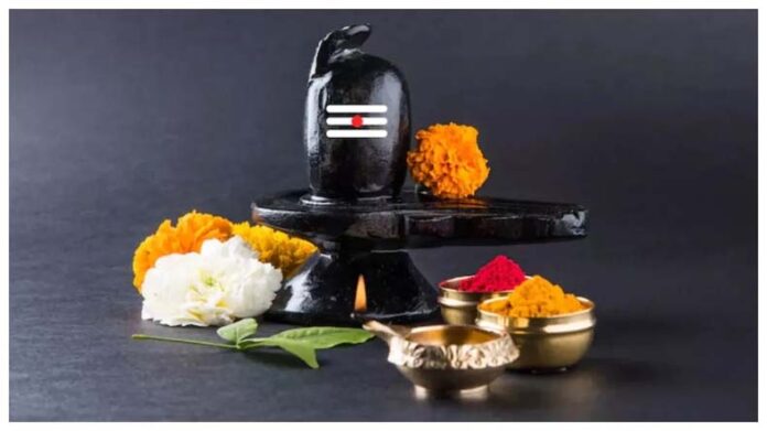 Papankusha Ekadashi Upaay: पापांकुशा एकादशी के दिन शिवलिंग पर चढ़ाएं ये चीजें