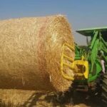 Stubble Management Tips: खेत में पराली को जलाने की बजाय करें ये काम