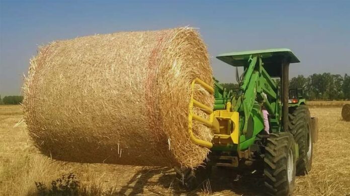 Stubble Management Tips: खेत में पराली को जलाने की बजाय करें ये काम