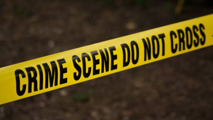 Tamil Nadu Murder Case: पति ने पत्नी की हत्या कर ड्रम में छिपाई लाश, फिर जमीन में गाड़ दिया, जानें कैसे हुआ खुलासा Tamil Nadu Murder Case: पति ने पत्नी की हत्या कर ड्रम में छिपाई लाश, फिर जमीन में गाड़ दिया, जानें कैसे हुआ खुलासा